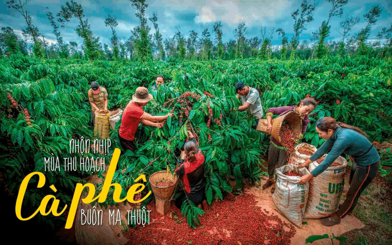 Hình ảnh Tiêu Biểu 4